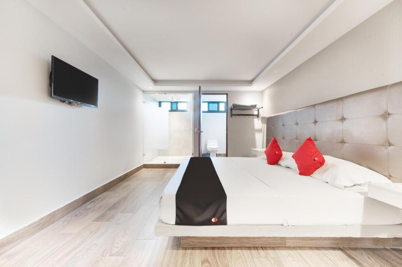 Hotel 202 مونتيري المظهر الخارجي الصورة