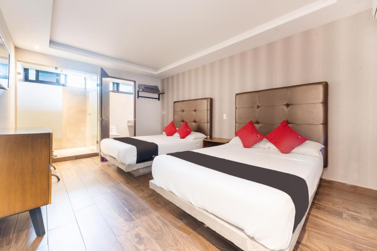 Hotel 202 مونتيري المظهر الخارجي الصورة
