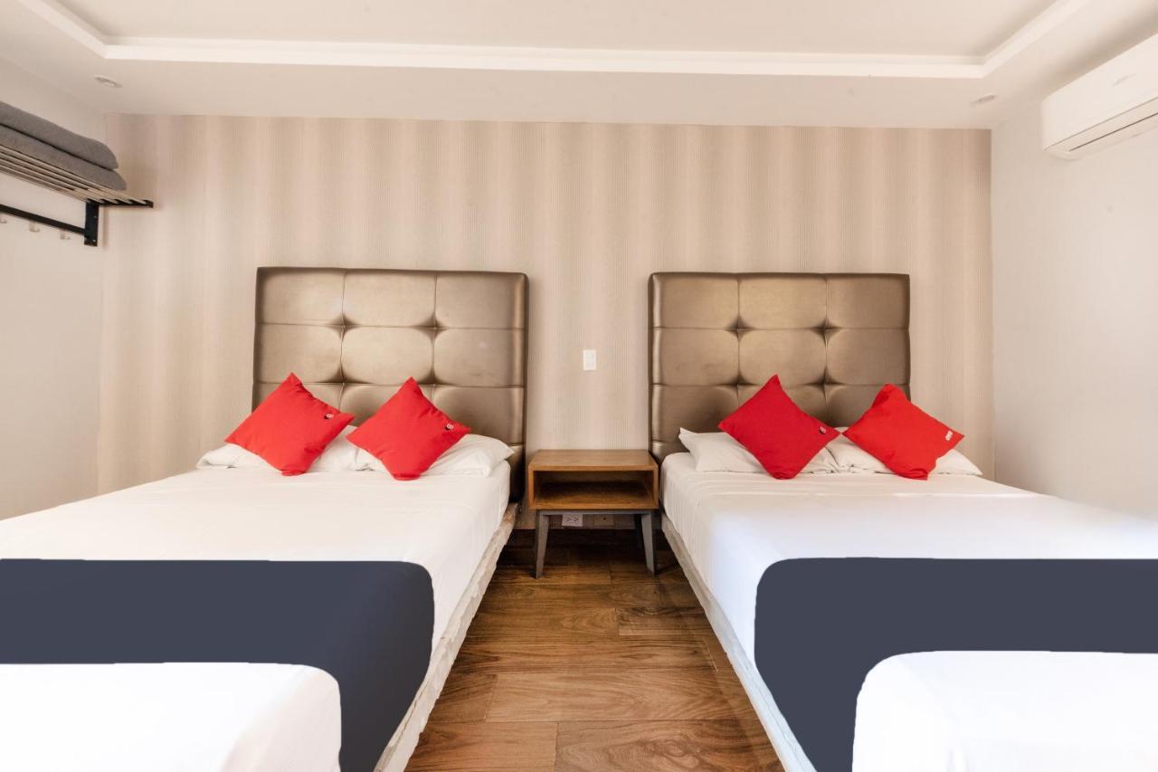 Hotel 202 مونتيري المظهر الخارجي الصورة