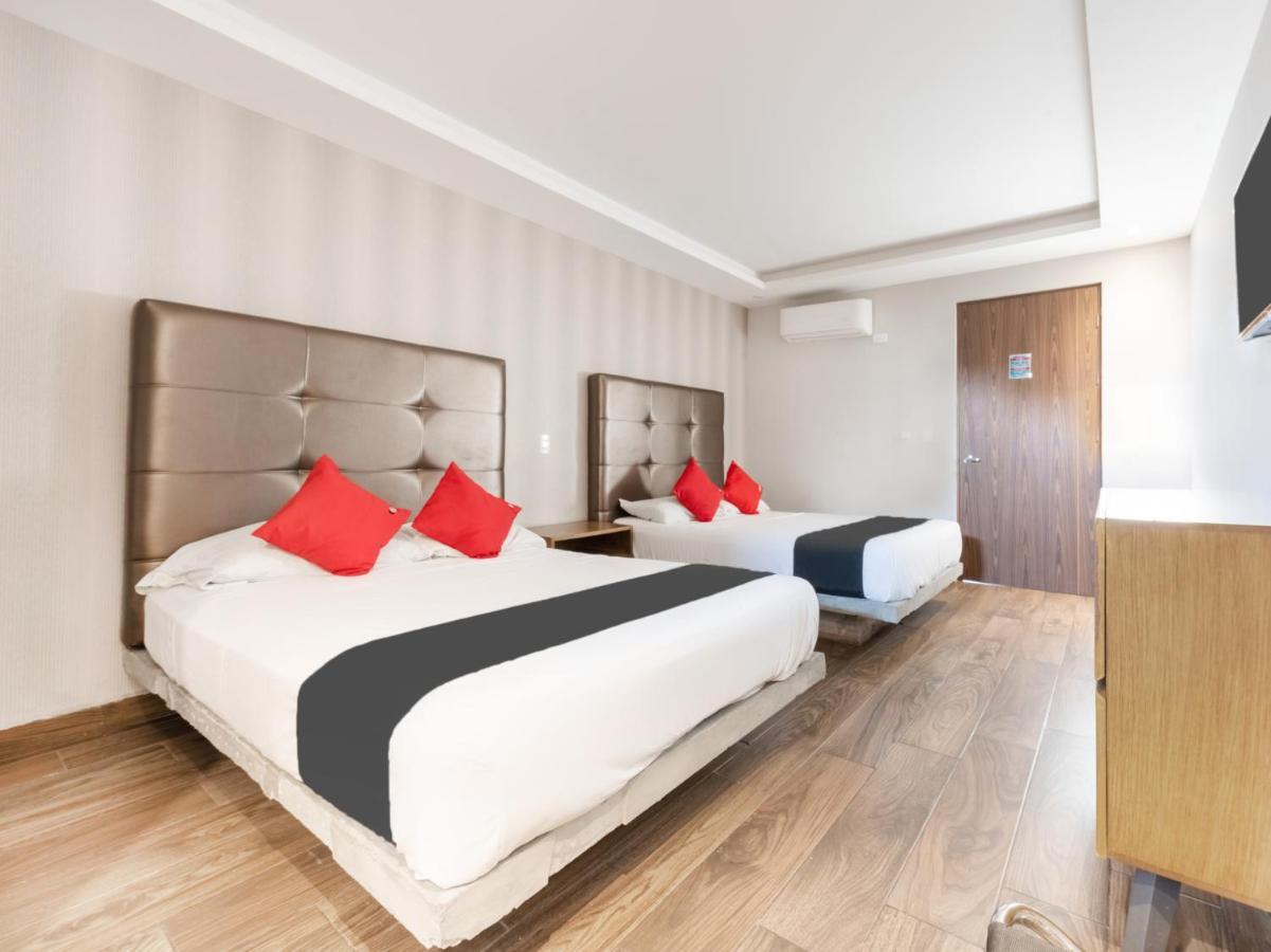 Hotel 202 مونتيري المظهر الخارجي الصورة
