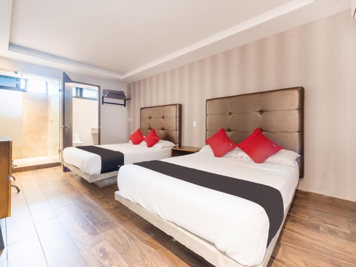 Hotel 202 مونتيري المظهر الخارجي الصورة