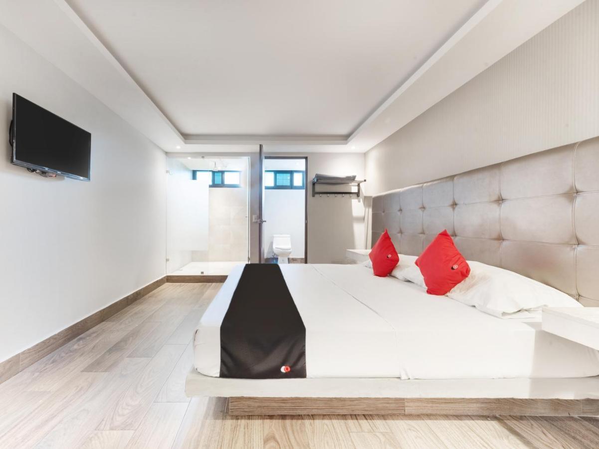 Hotel 202 مونتيري المظهر الخارجي الصورة