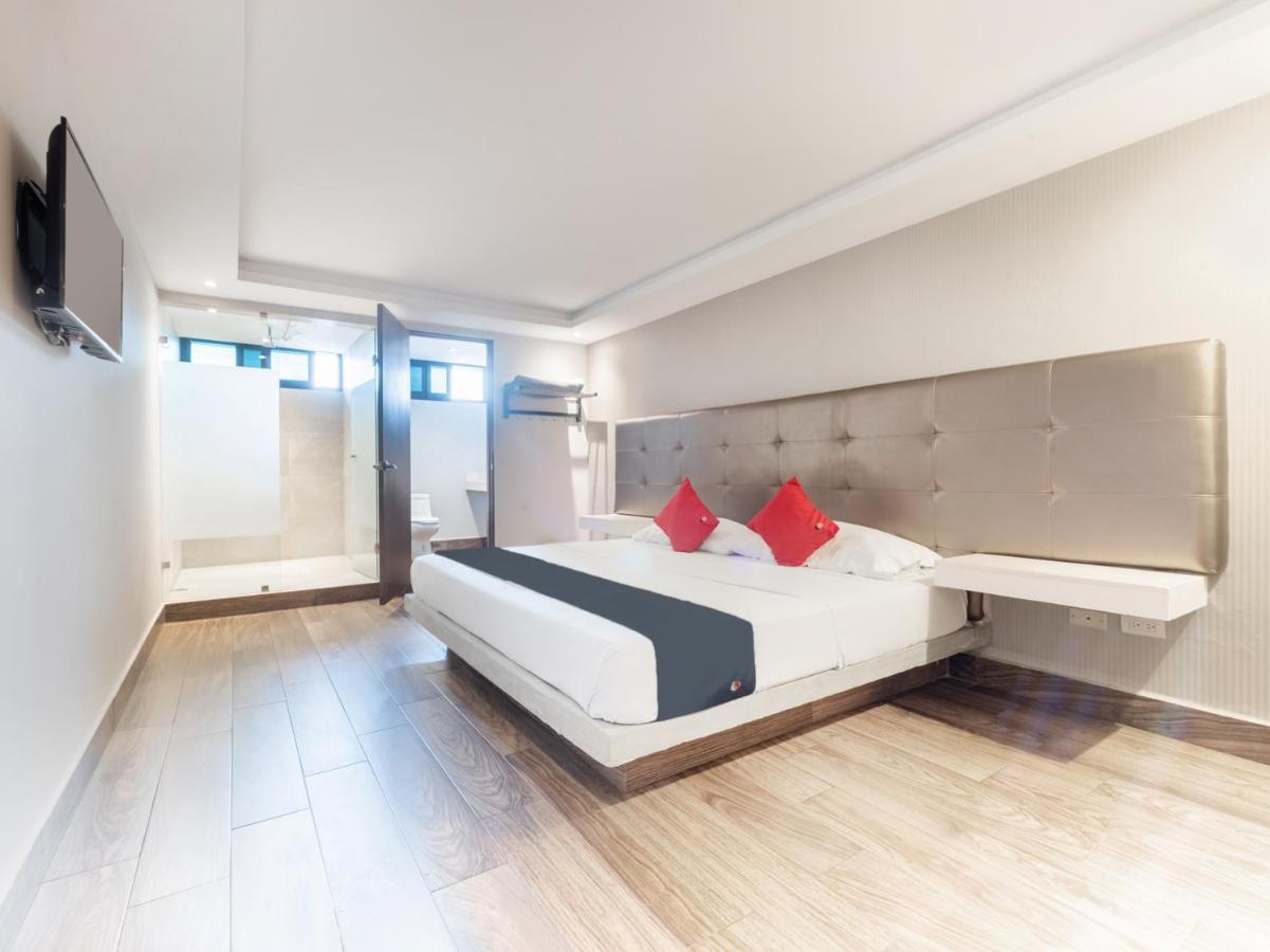 Hotel 202 مونتيري المظهر الخارجي الصورة