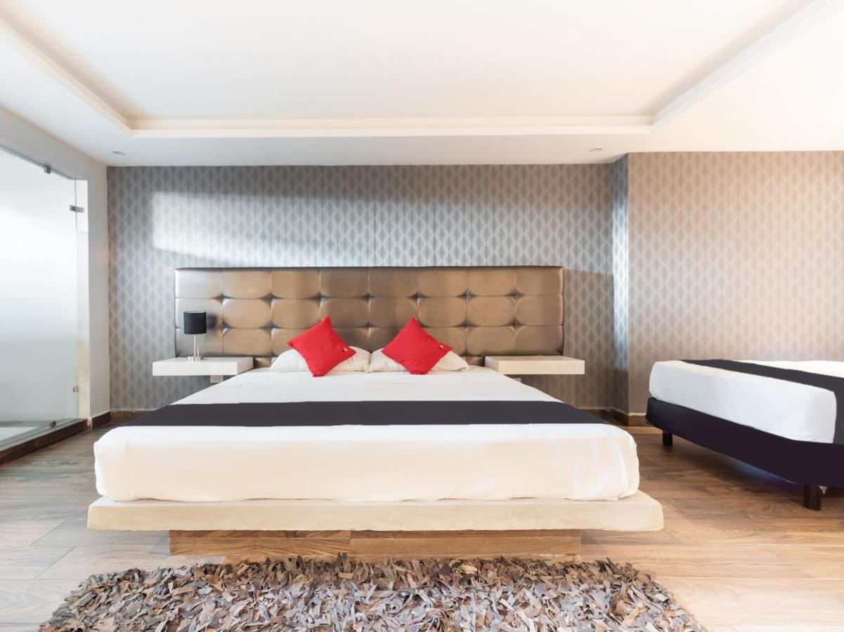 Hotel 202 مونتيري المظهر الخارجي الصورة